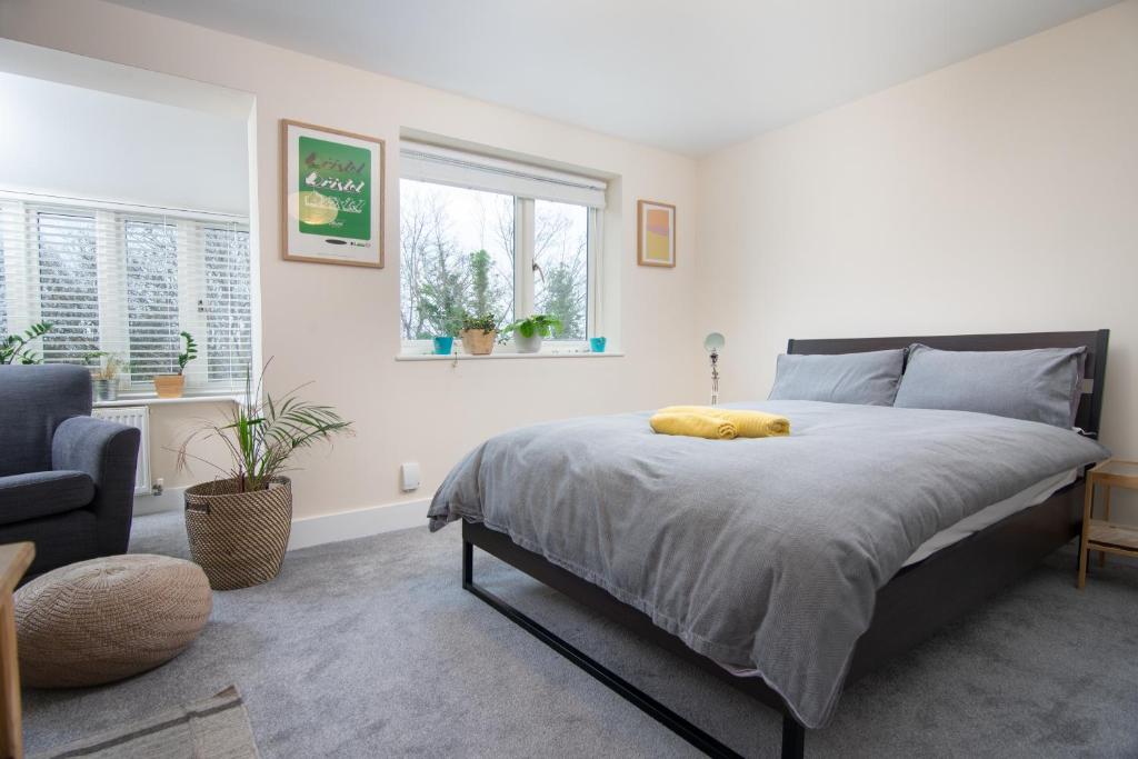 bristol bnb