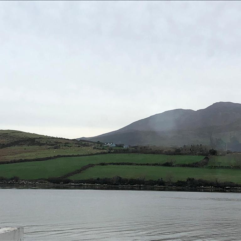 O'Connors Guesthouse photo