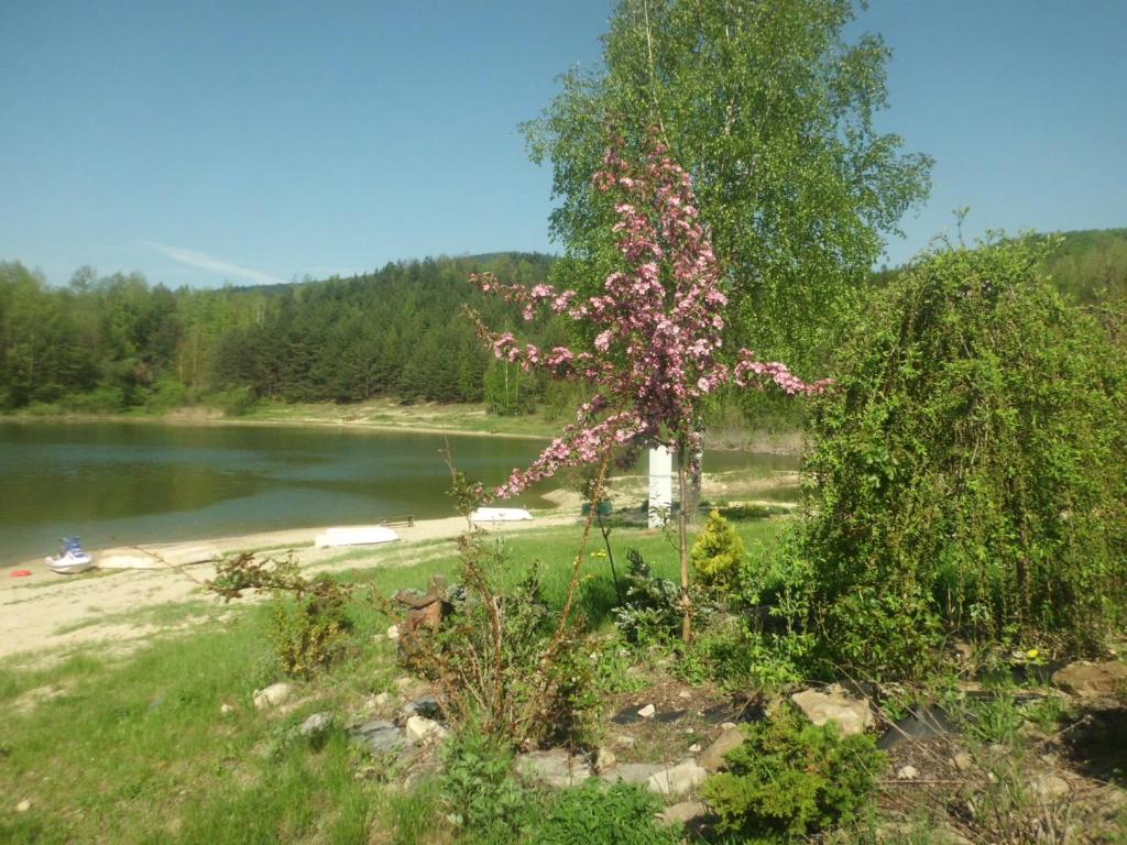 Bahçe