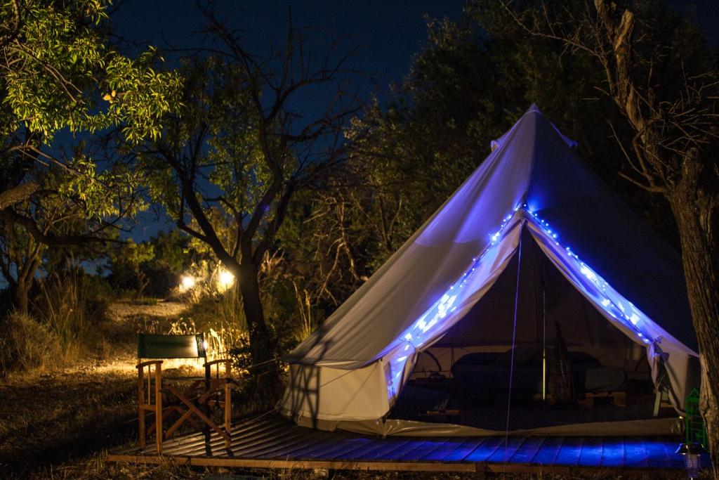 Shauri Glamping - 4