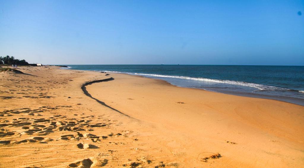 Majestic Beach Retreat photo