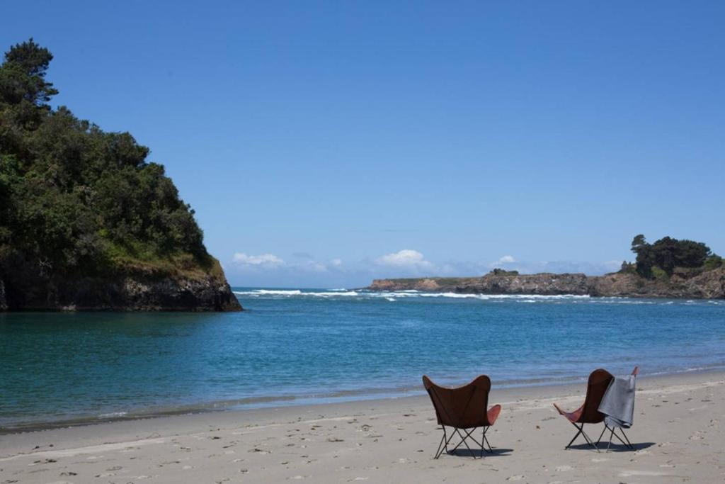 Mendocino Grove photo