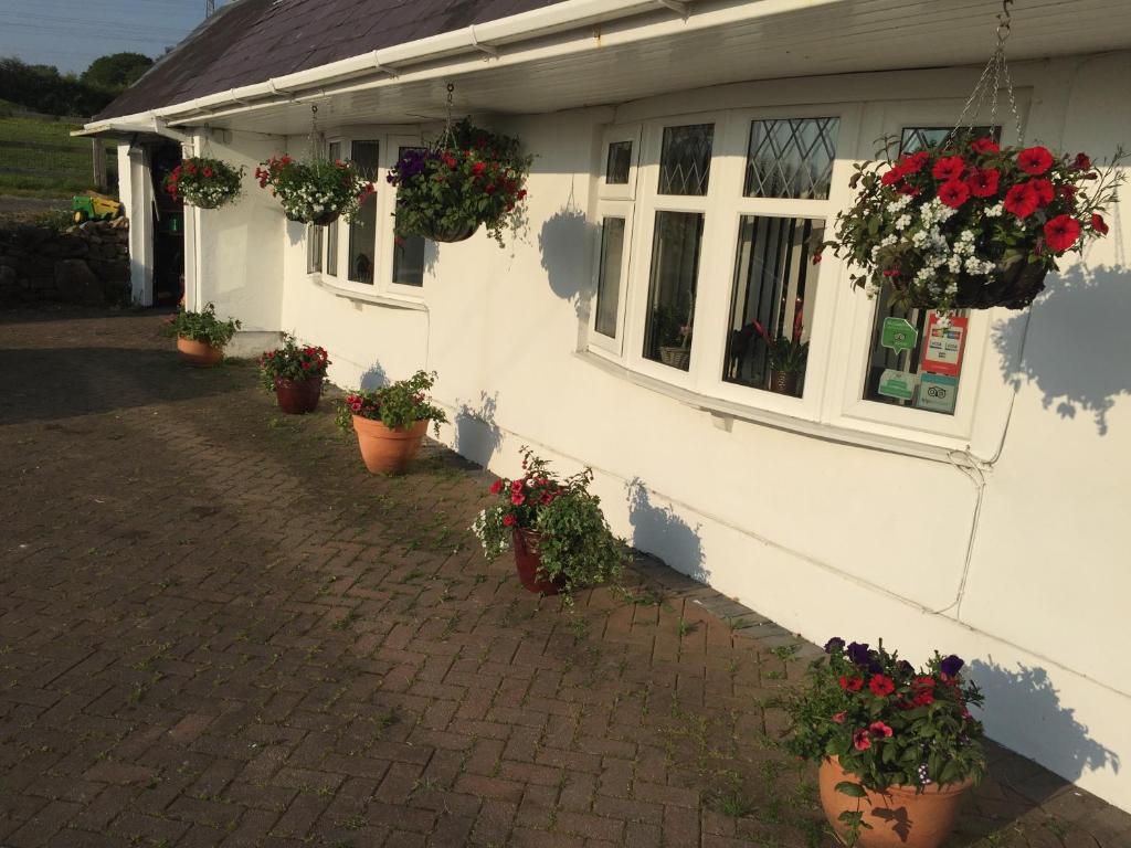 Brynawel Farm B&B photo