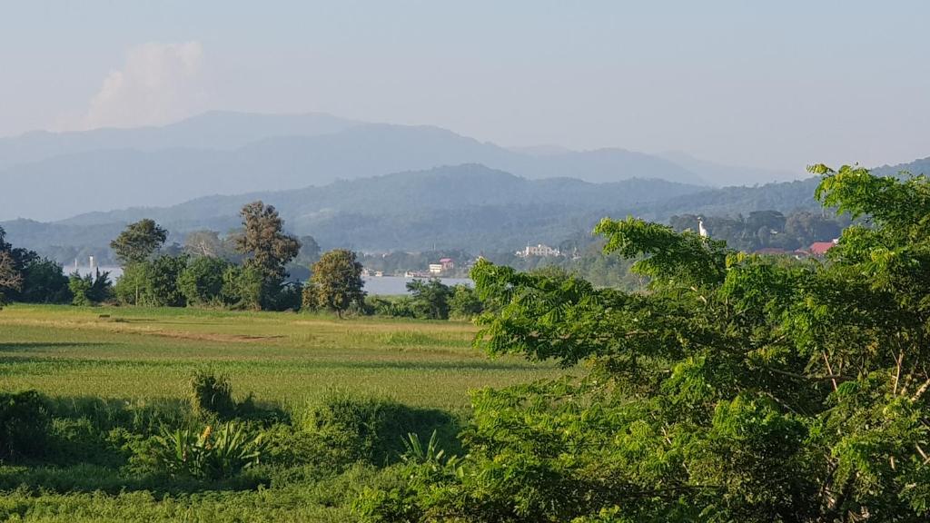 Surrounding environment