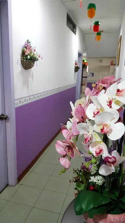 New Orchid Hotel Tuaran photo