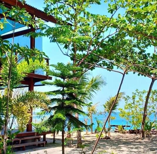 Castaway Surf Retreat 1 photo