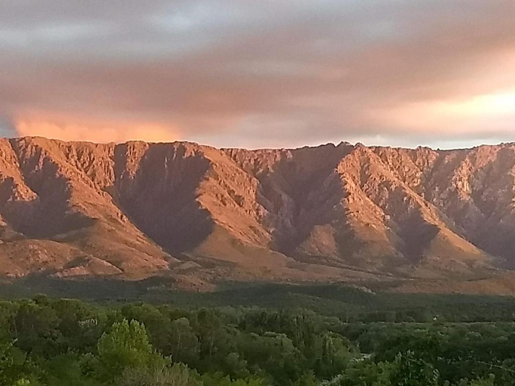 La Alegria - 3