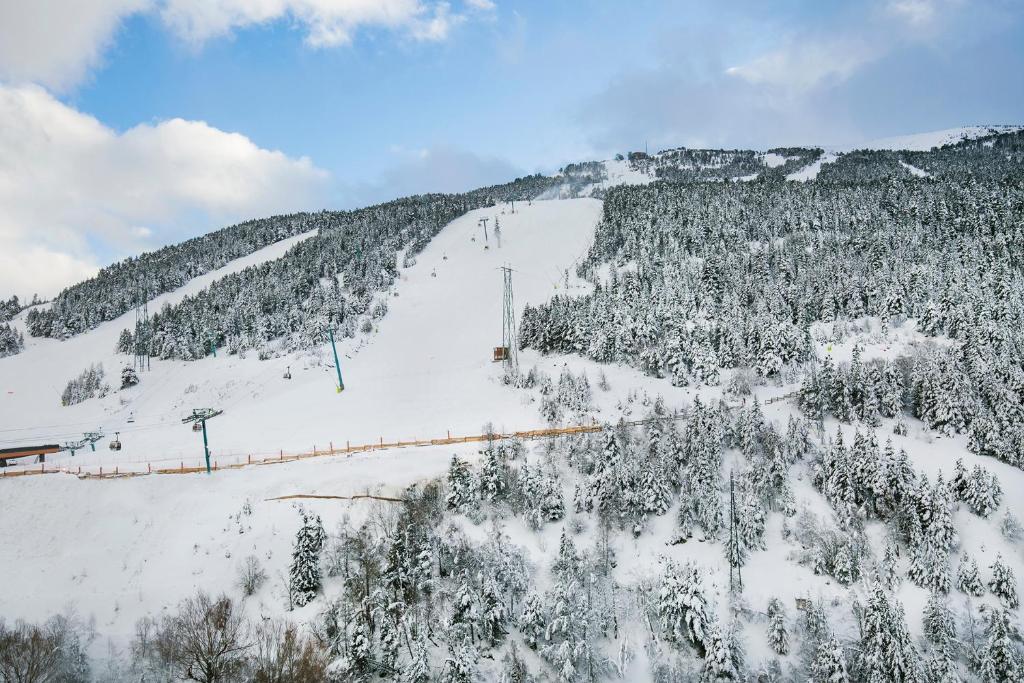 スポーツ/アクティビティ