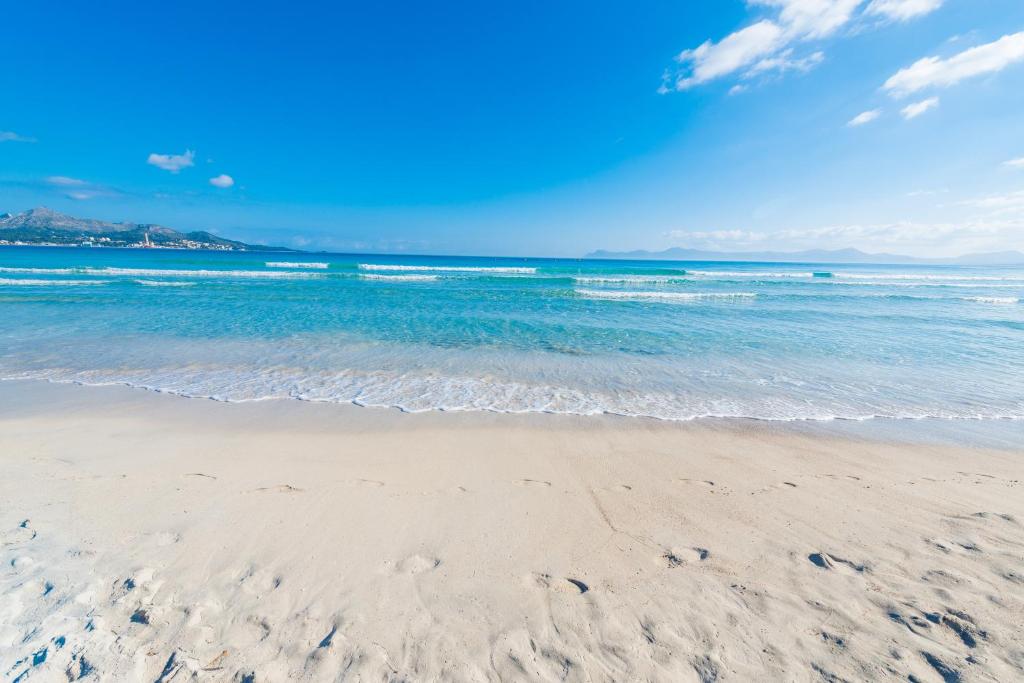 Sun of the Beach, vacaciones en la playa de Alcudia - 3