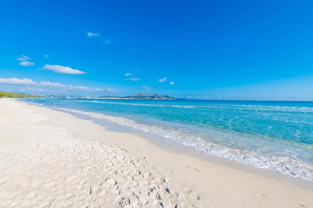 Sun of the Beach, vacaciones en la playa de Alcudia - 4
