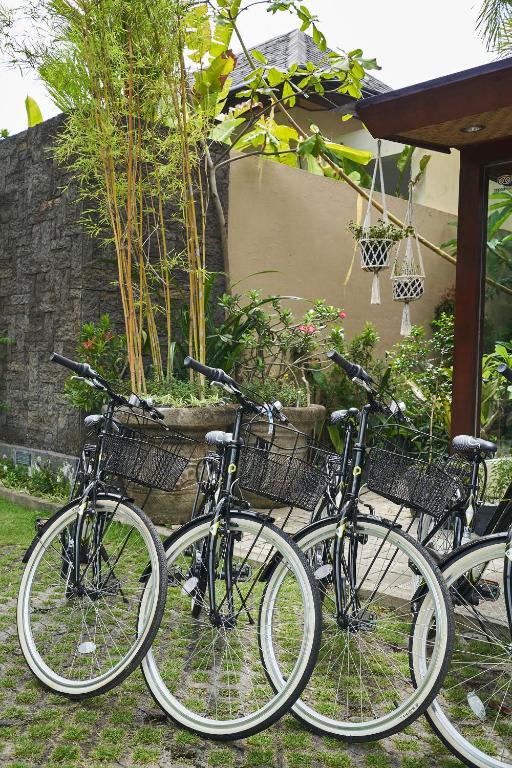 Kubu Gajah Villas photo