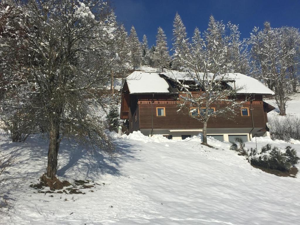 Appartement VIDMAR-WINTERTRAUM - 1