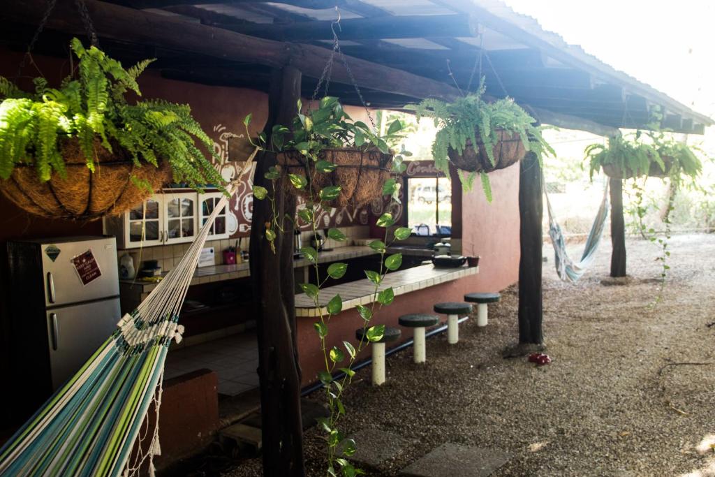Kitchen, Tsunami Hostel in Tamarindo