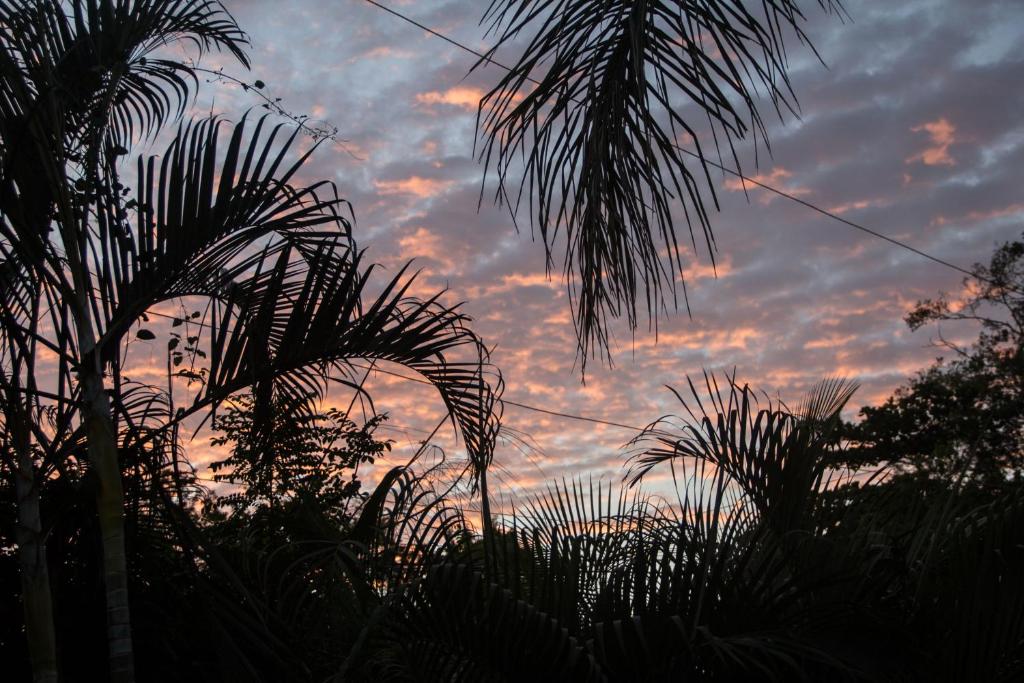 Surrounding environment