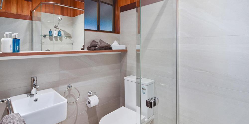 OReillys Rainforest Retreat photo
