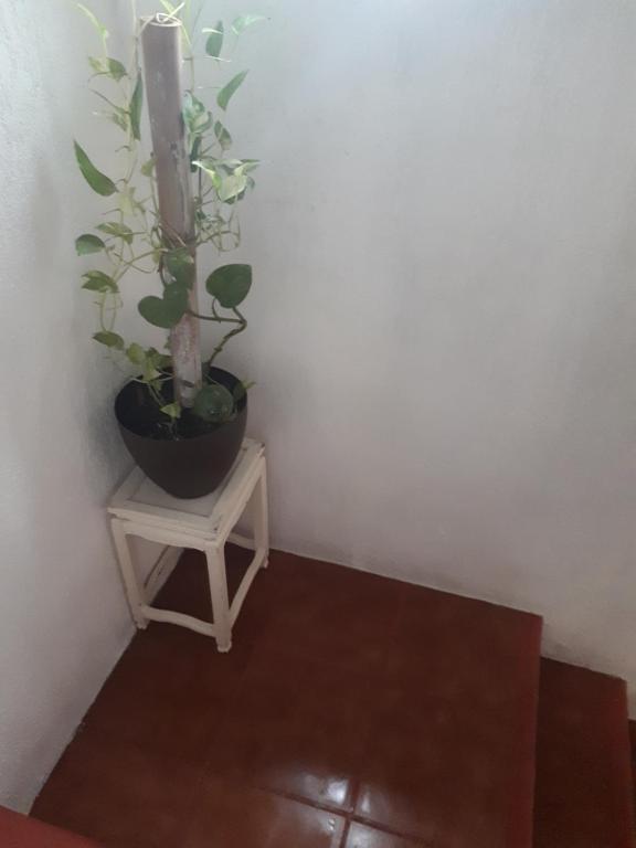Mariposas Rooms photo