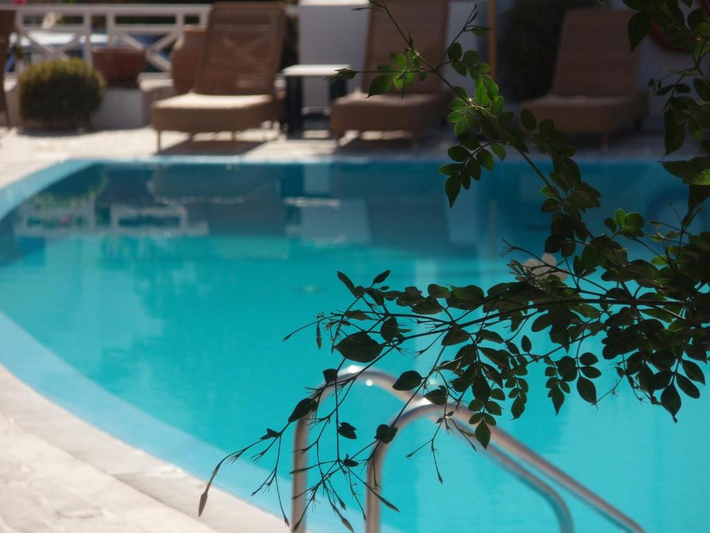 スイミングプール