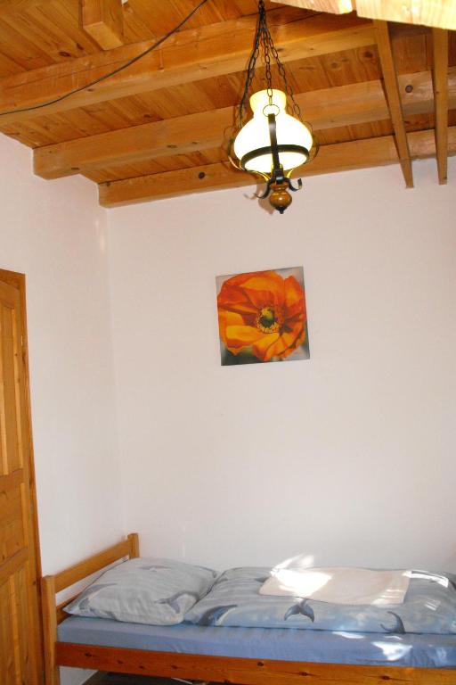 Hungaria Guesthouse photo