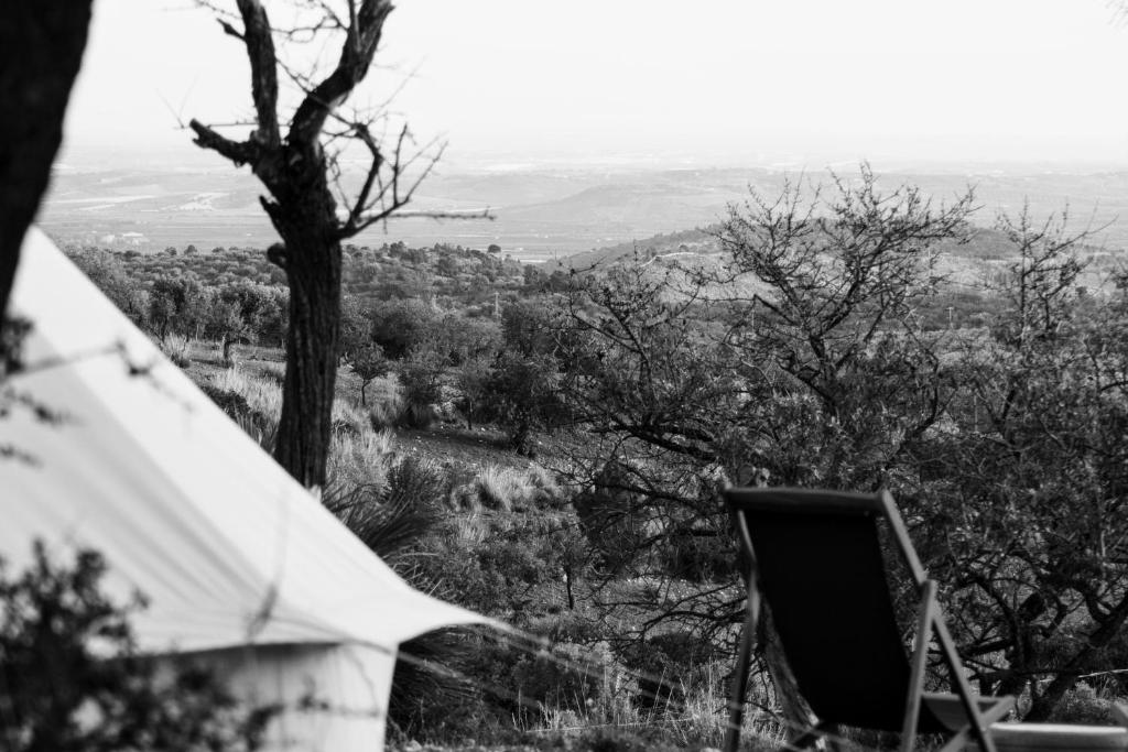 Shauri Glamping - 5
