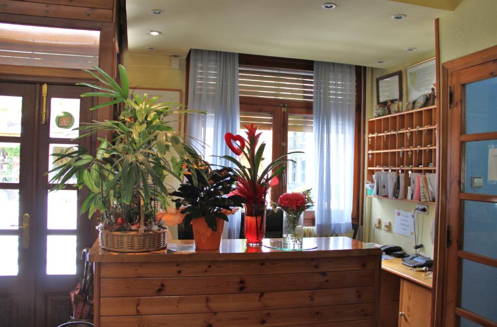 Hotel Garona photo