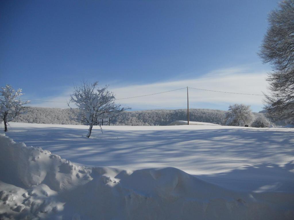 Borgo San Pietro photo