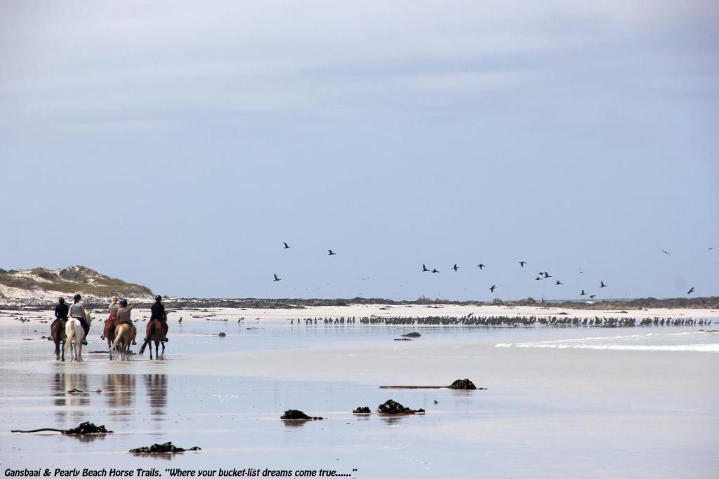 Gansbaai Seafront Holiday House - Our C-House — Hotel in Gansbaai