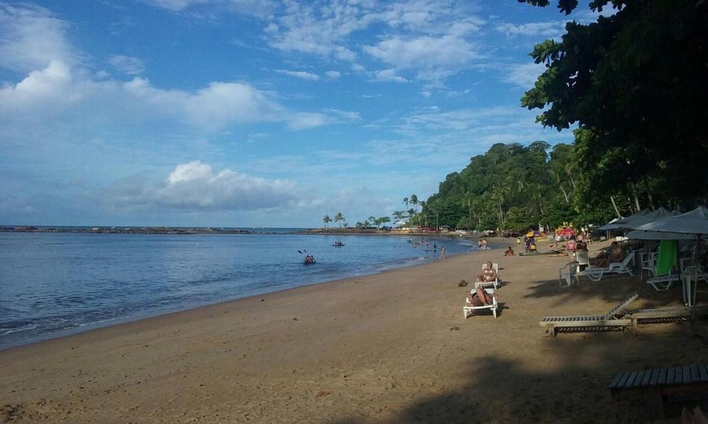 Concha Tropical Flat photo
