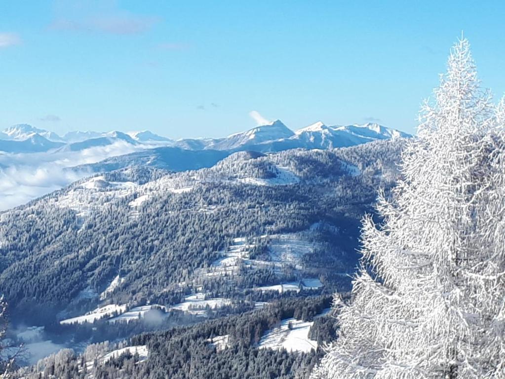 Surrounding environment