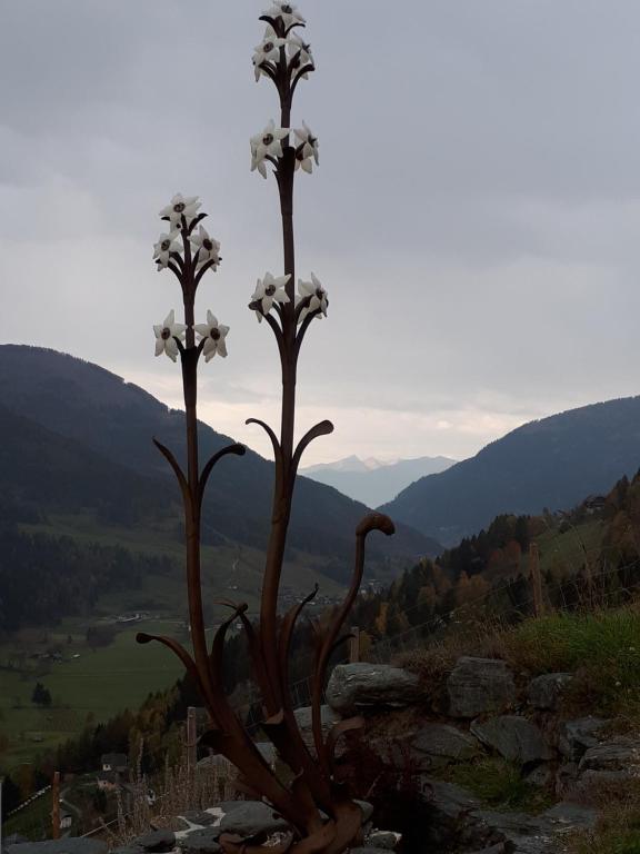 Sports and activities