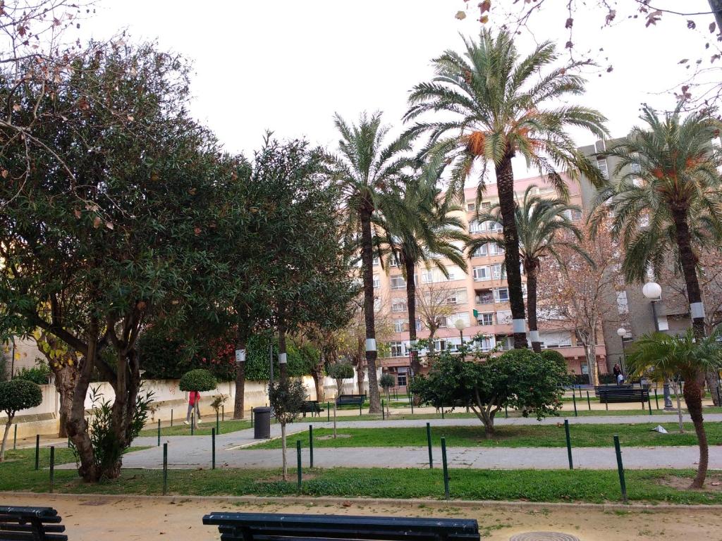 Apartamento Ecuador Cadiz a un minuto andando de la playa y a seis del casco antiguo - 2