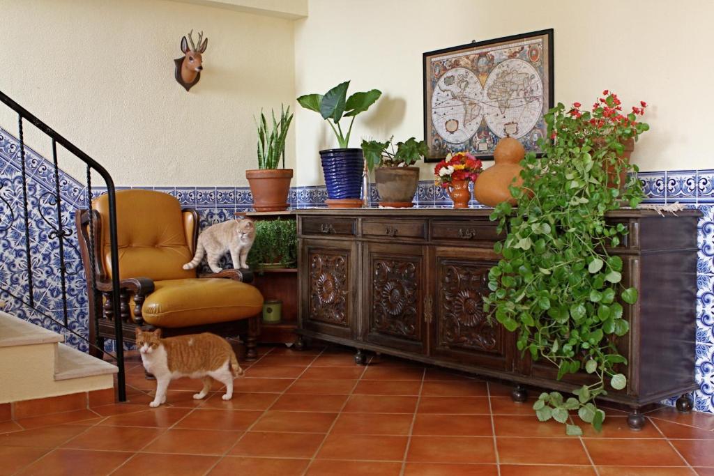 Vila Graciosa - Tranquility Oasis photo