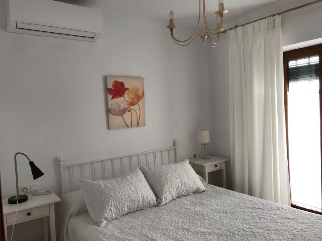 Casa Calle Alta Maria Bajo - 3