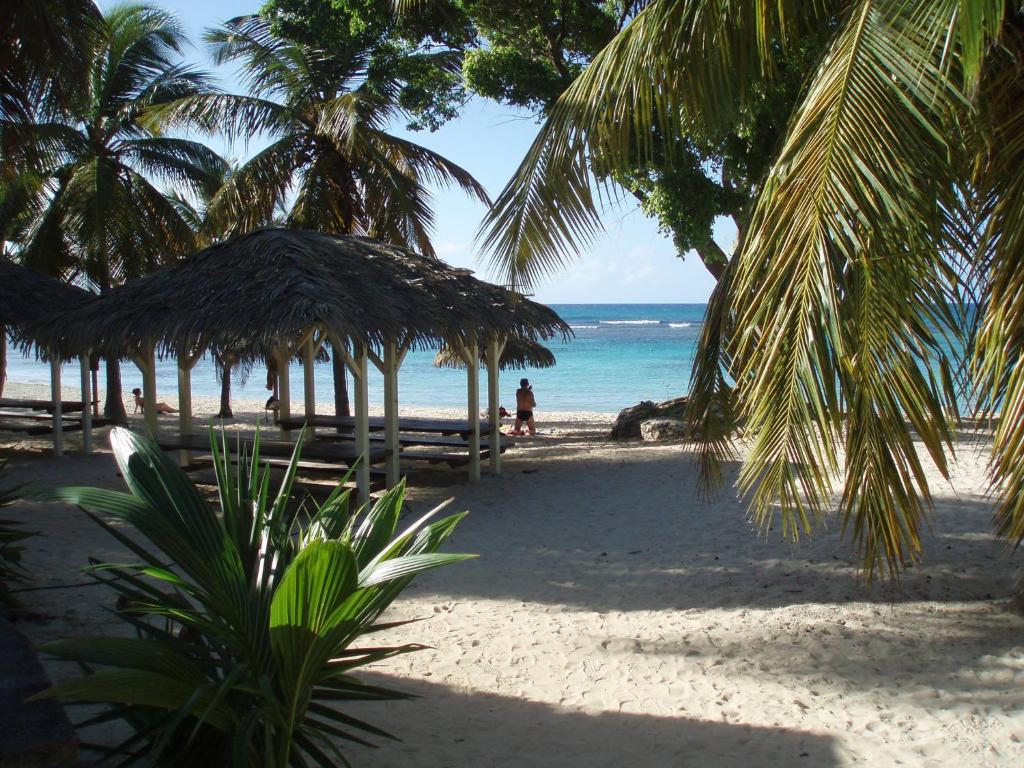 studio creole, Saint-François