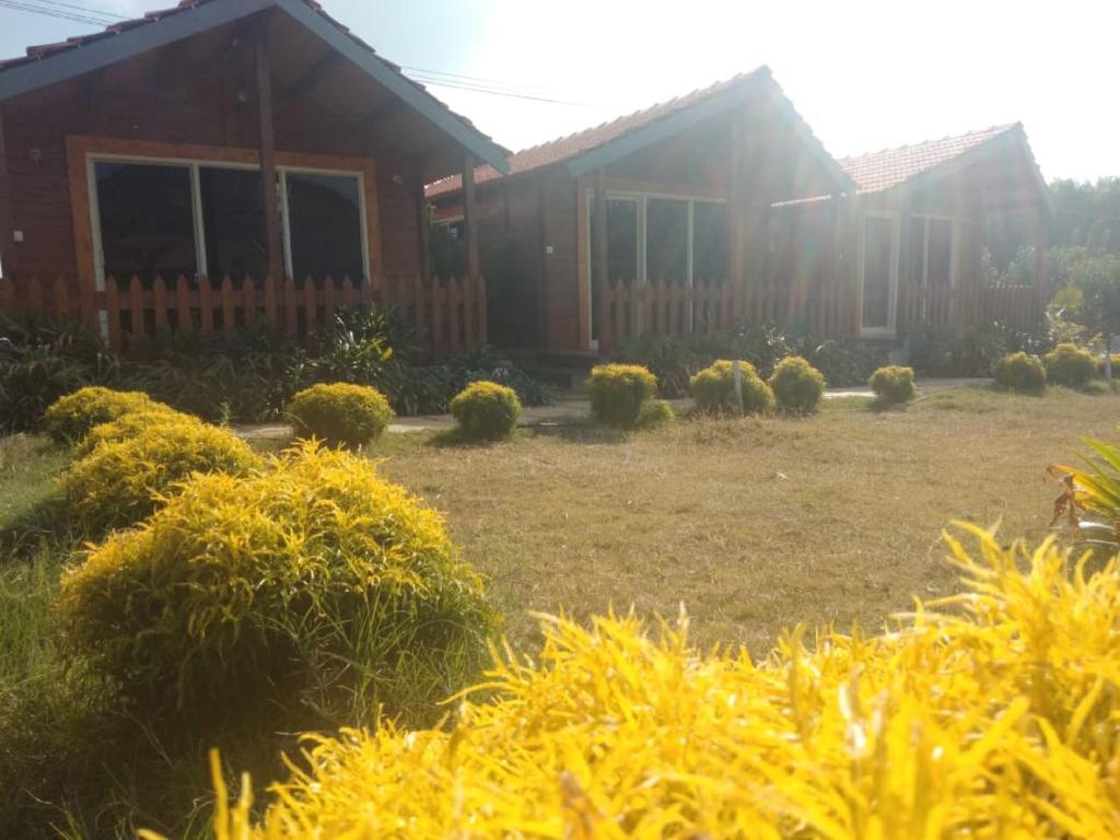 Trippr Chikkamagaluru photo