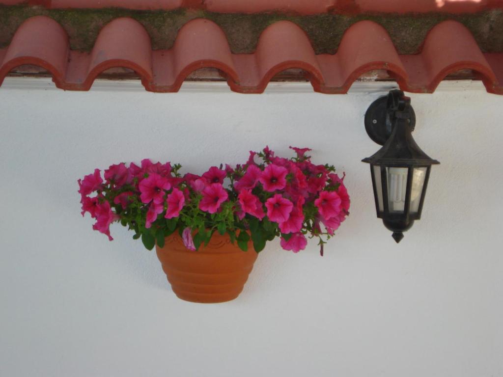 Létesítmények
