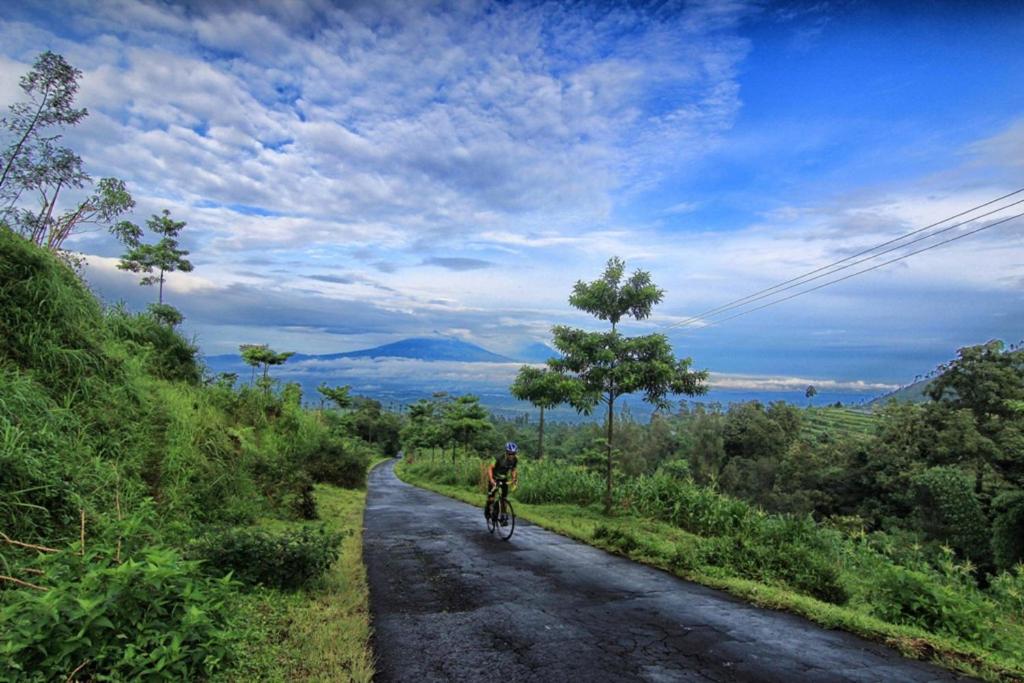 Sports and activities