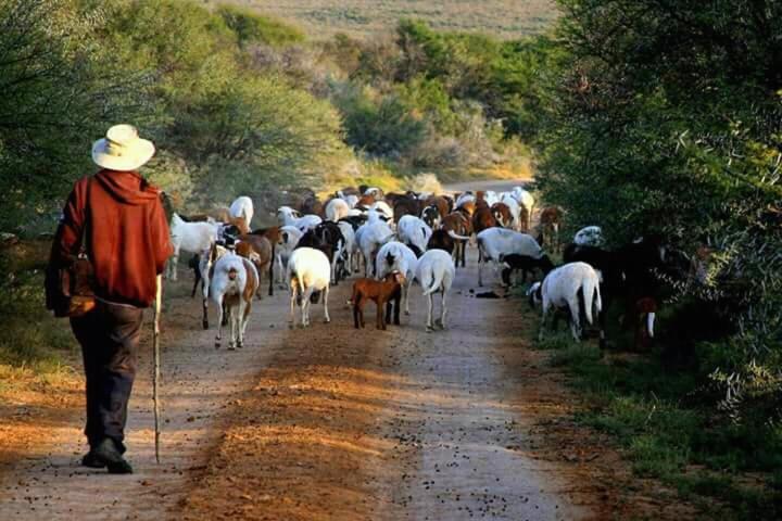 Waterval farmstay photo