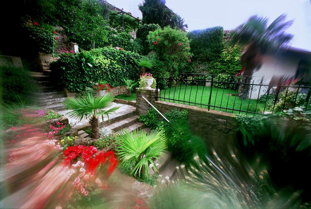 Green Oasis Family Apartments photo