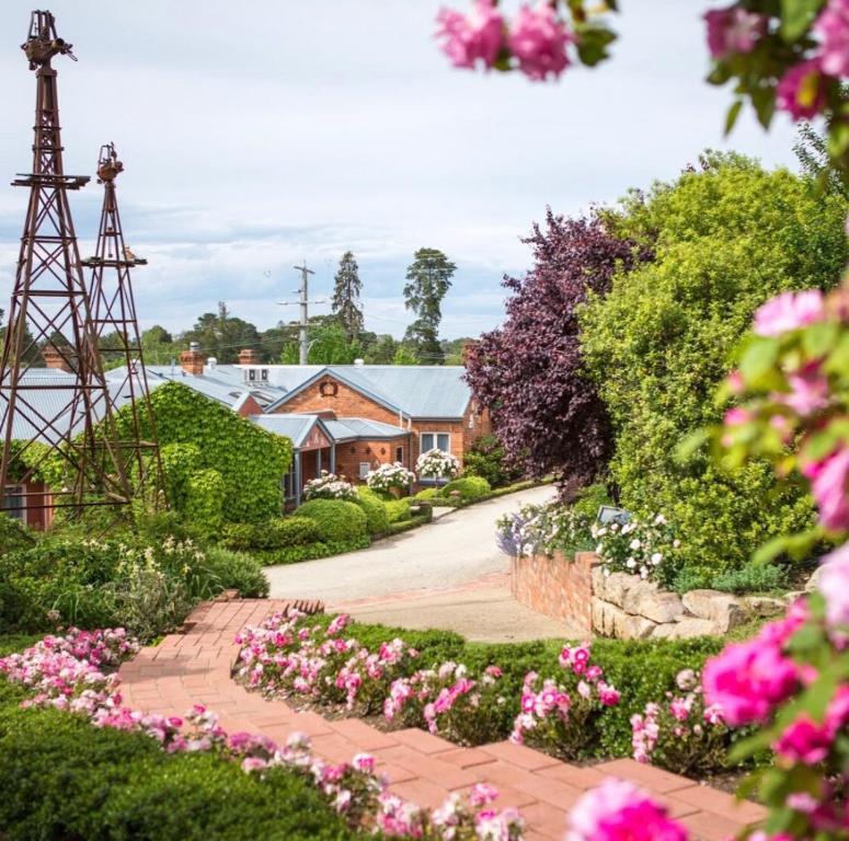 Twelve on Albert, Beechworth