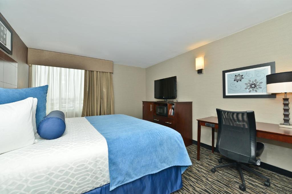 Wyndham Garden Elk Grove Village - O'Hare photo