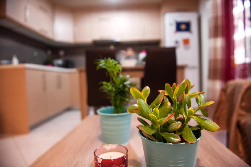 City House Apartment 전경