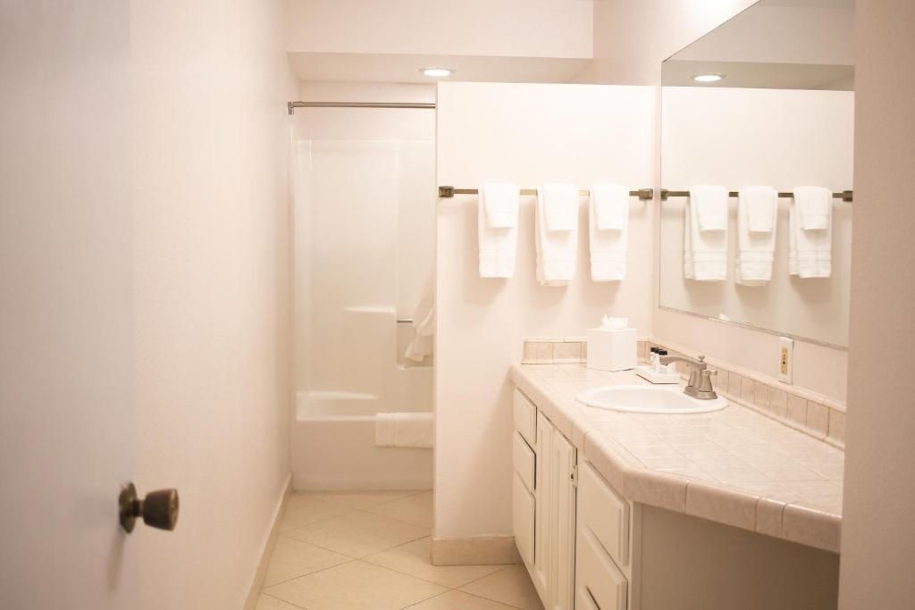 La Jolla Cove Suites Photo 18