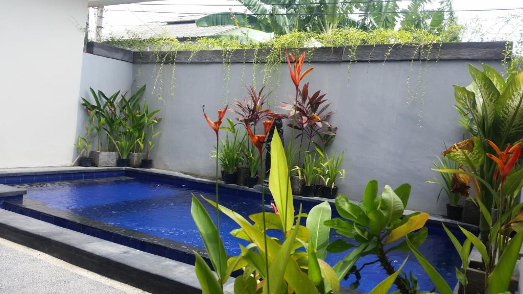 Star Bali Guest House — Hotel in Bali
