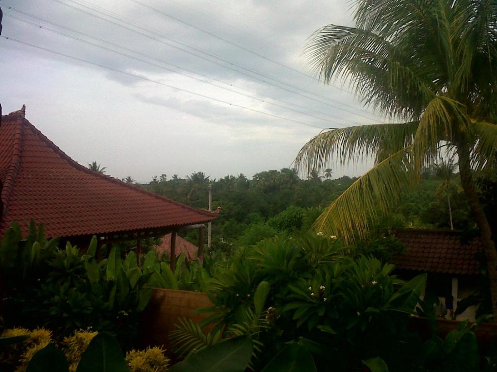 Eliska Sari Bungalow Sumberkima