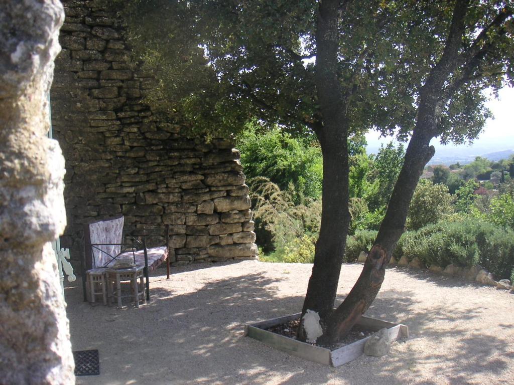 Le Jardin d'Adam photo