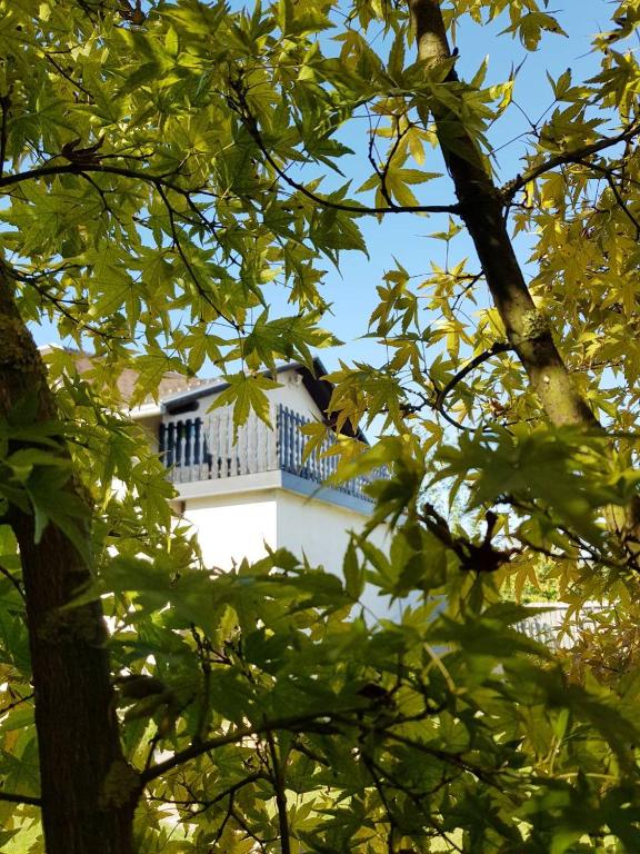 Studio apartman Gradna, Samobor