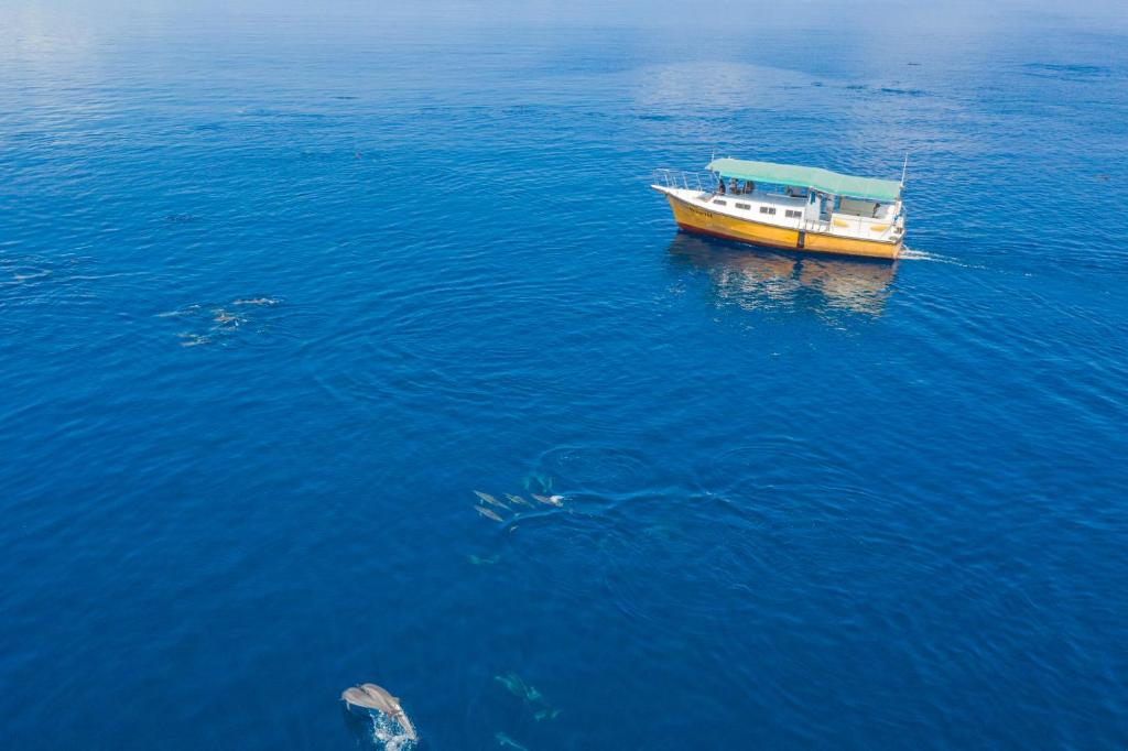 Sport en activiteiten