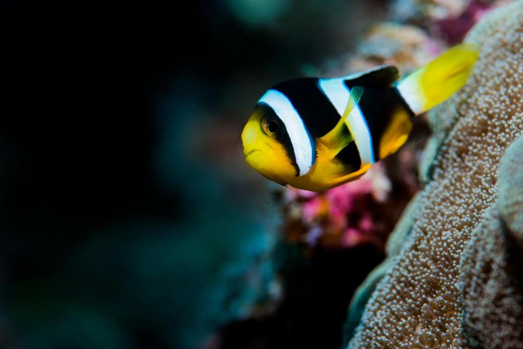 Sport en activiteiten