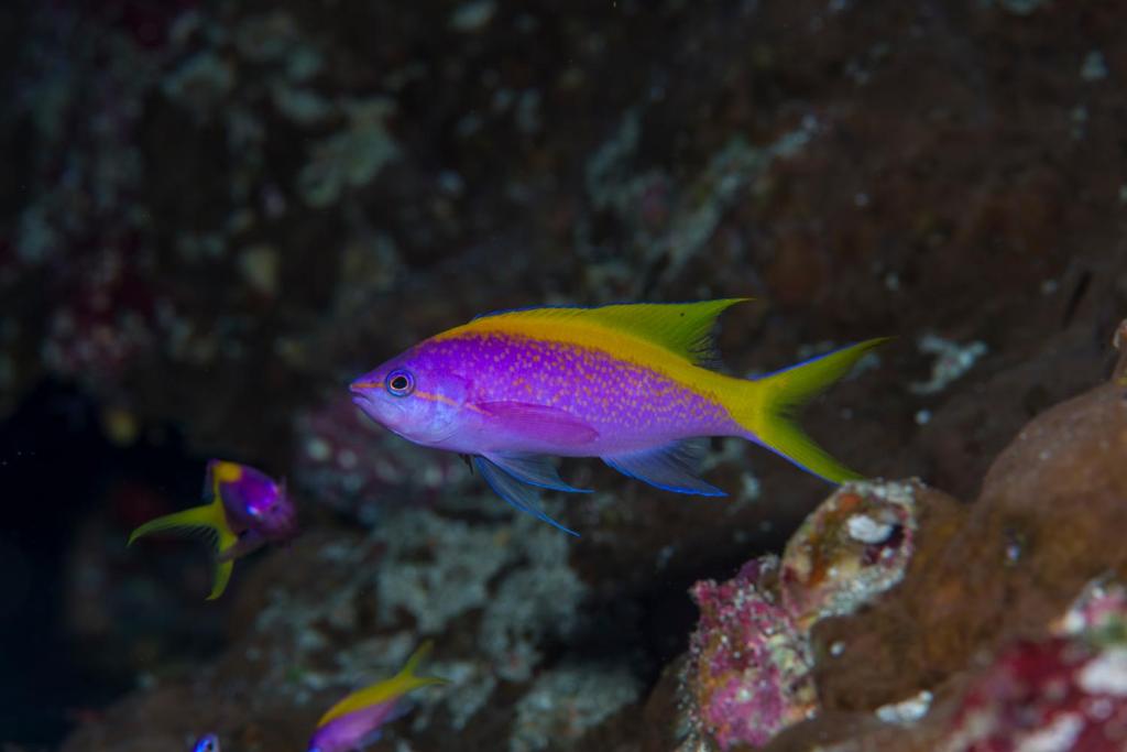 Sport en activiteiten