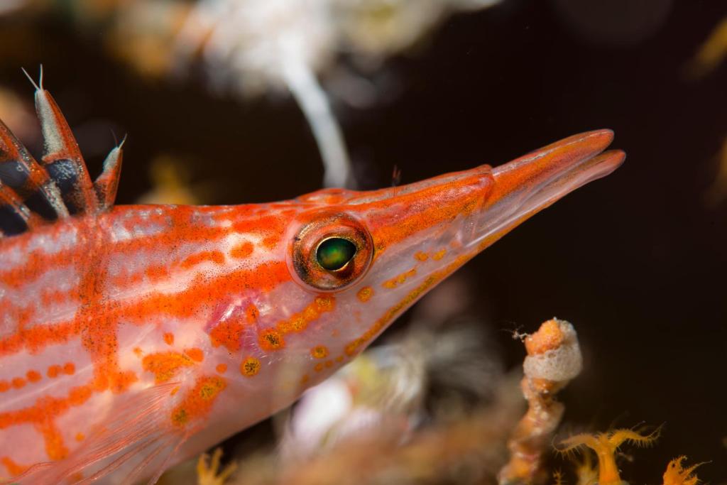 Sport en activiteiten